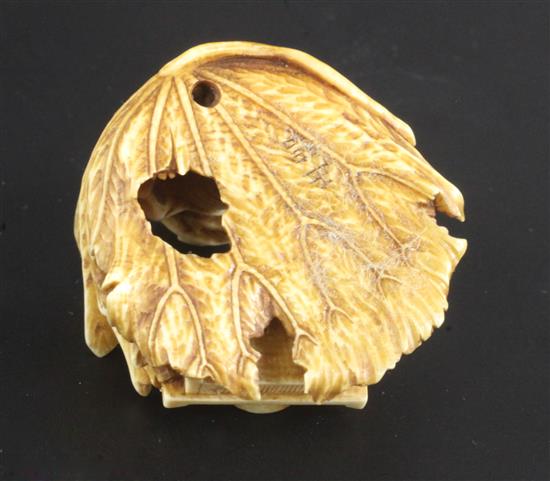 A Japanese ivory netsuke of a skeleton, early 20th century, signed Sei..? 3.3cm, wood stand